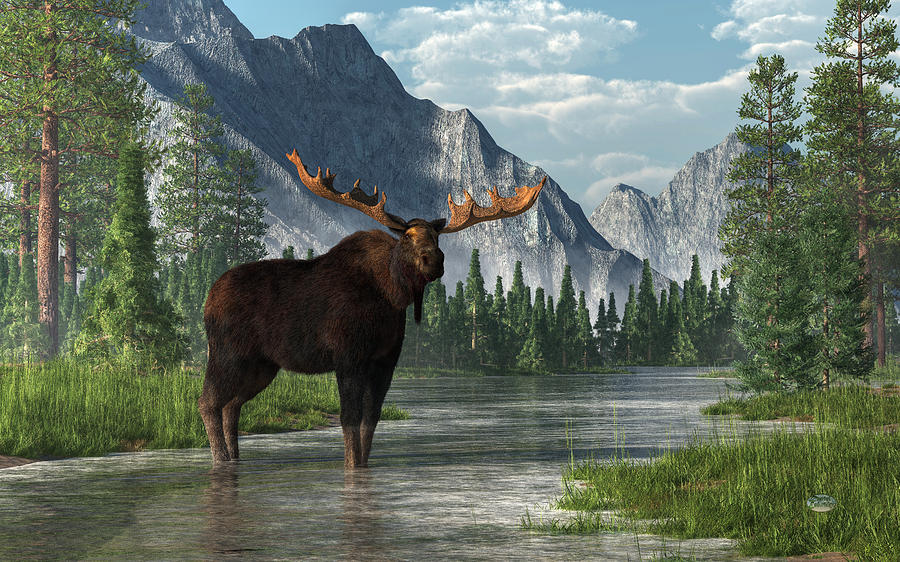 Bull Moose Digital Art by Daniel Eskridge