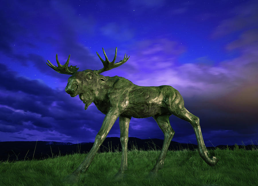 Bull Moose in Bronze Photograph by Hal Mitzenmacher