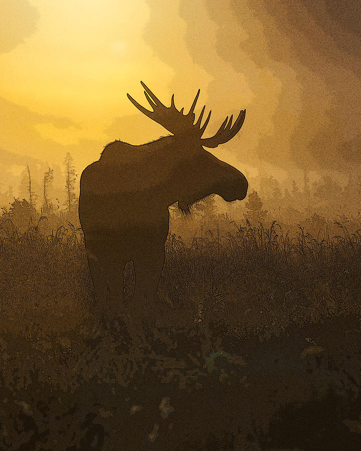Abstract Digital Art - Bull Moose in Fog- Abstract by Tim Grams