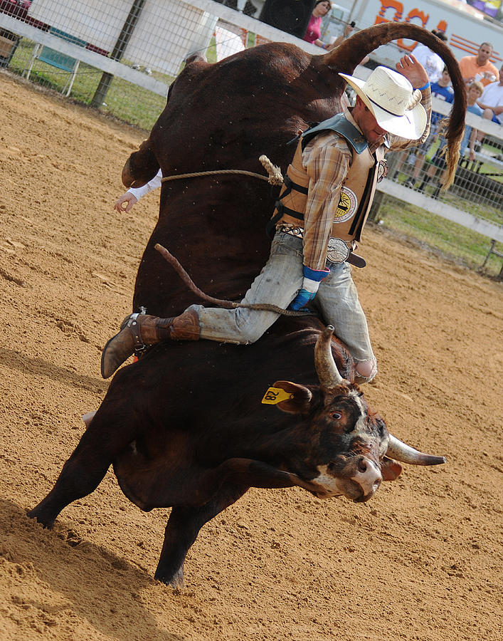 Bull ride Photograph by Keith Lovejoy