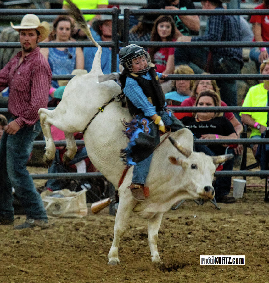 Bull Rider in Training Photograph by Jeff Kurtz