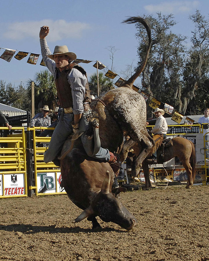 Bull Rider Photograph by Keith Lovejoy