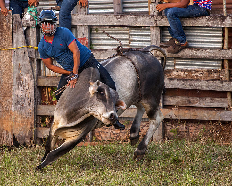 Bull Rider Photograph by Stephen Dennstedt