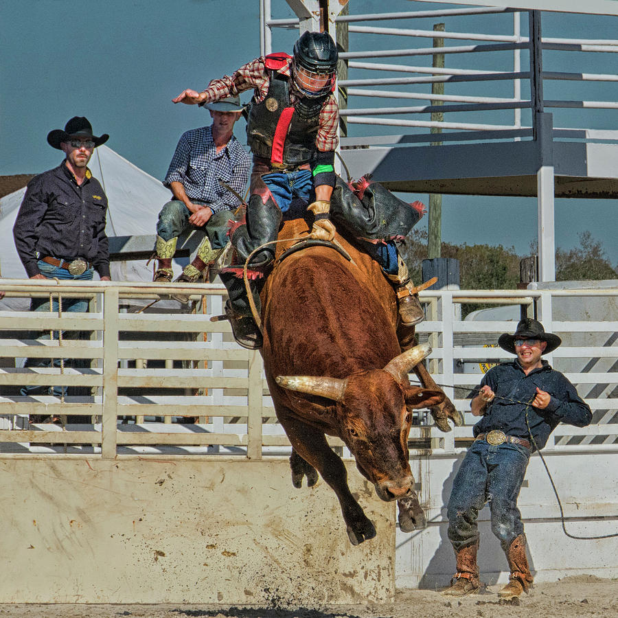 Bull Riding Cowboy Photograph by Mitch Spence