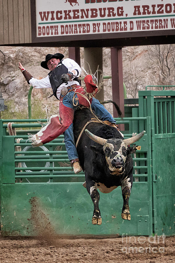 Bull Riding in Wickenburg Arizona Photograph by Priscilla Burgers