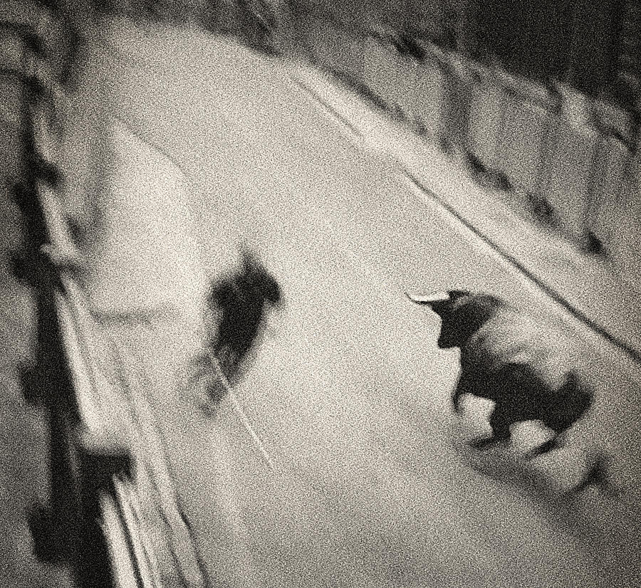Black And White Photograph - Bull Run 2 by Rafa Rivas