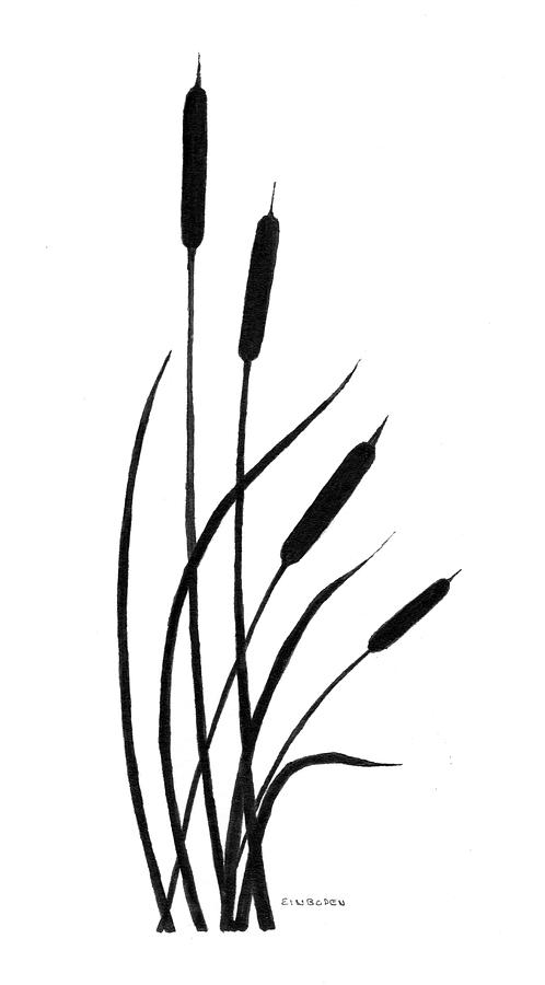 Bull Rushes Drawing by Ed Einboden - Pixels