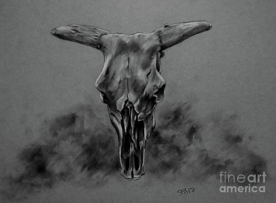 Bull Skull Study Drawing by Samantha Strong