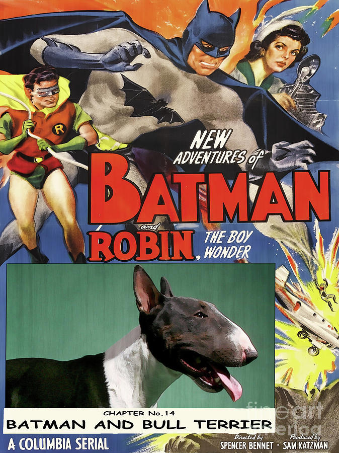 Bull Terrier Art Canvas Print - Batman Movie Poster Painting by Sandra Sij