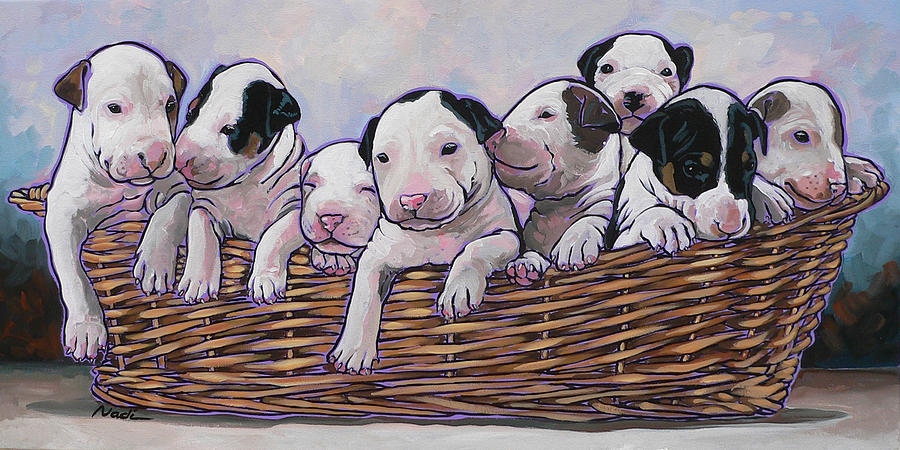 Bull Terrier Pups Painting by Nadi Spencer
