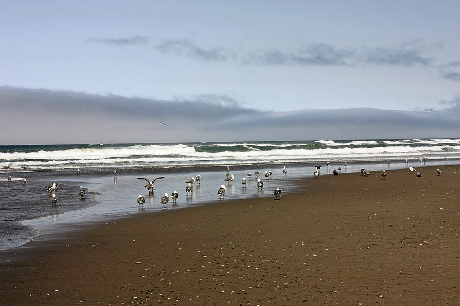 Bullards Beach Oregon Photograph by Kami McKeon