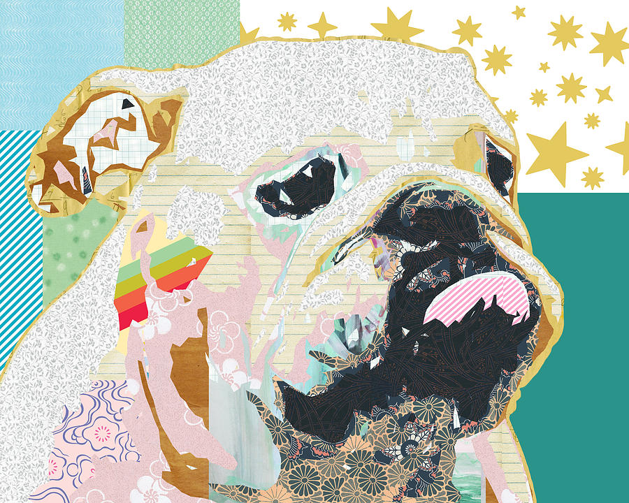 Bulldog Collage Mixed Media by Claudia Schoen