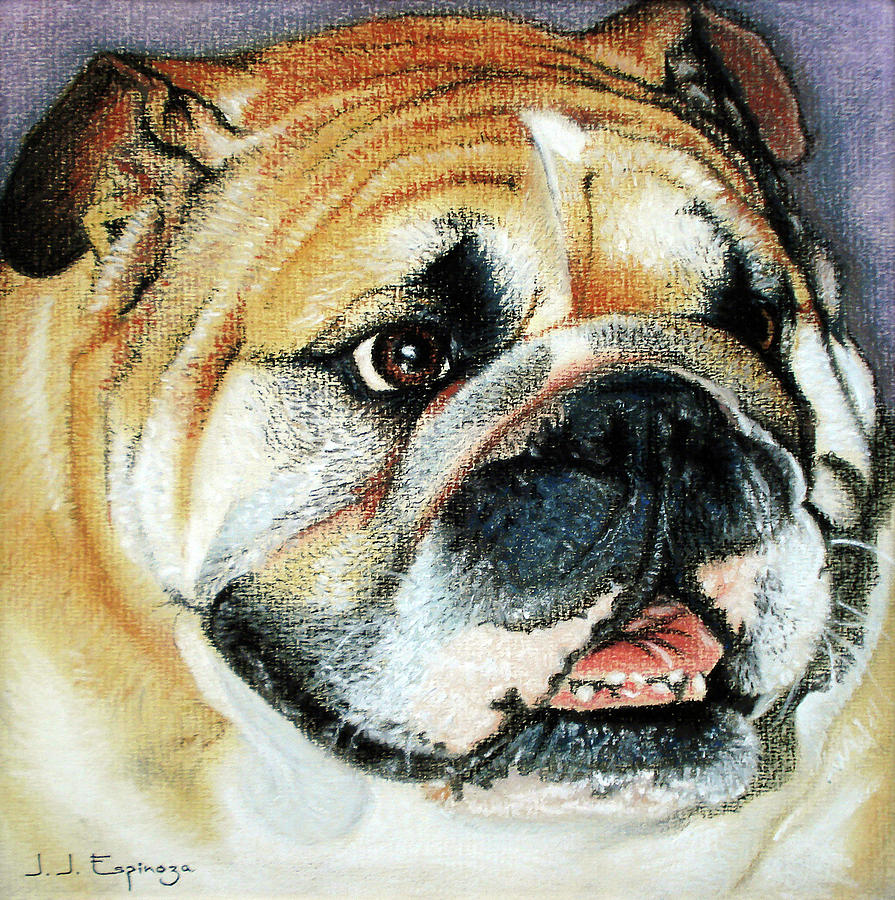 Bulldog Portrait Painting by J U A N - O A X A C A