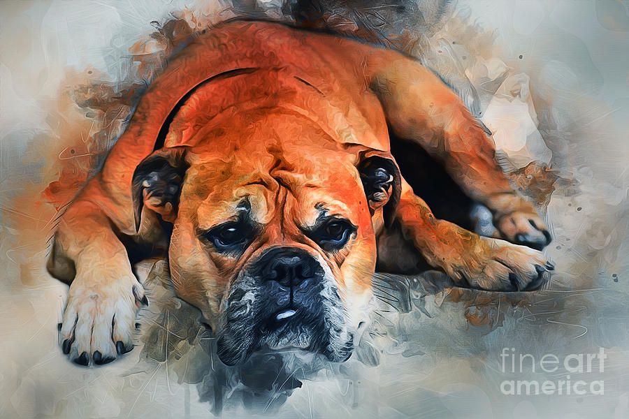 Bulldog Pyrography by Ian Mitchell