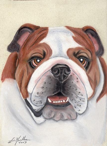 Bulldog Painting by Linda Henthorn - Fine Art America