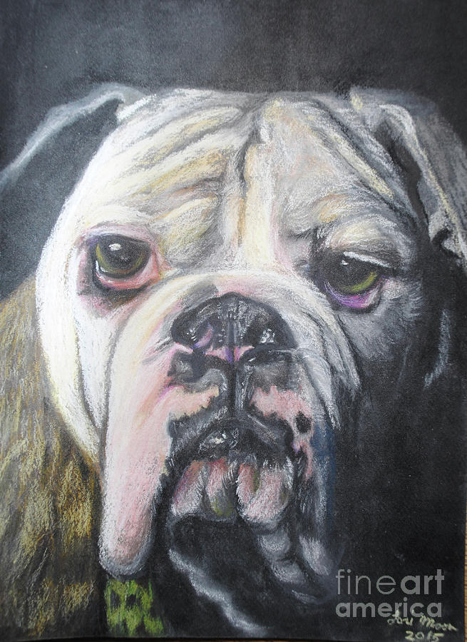 Bulldog Pastel by Lori Moon