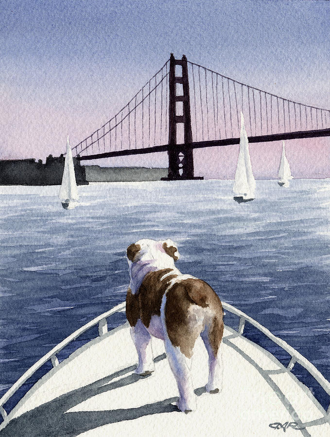 San Francisco Painting - Bulldog On Board by David Rogers