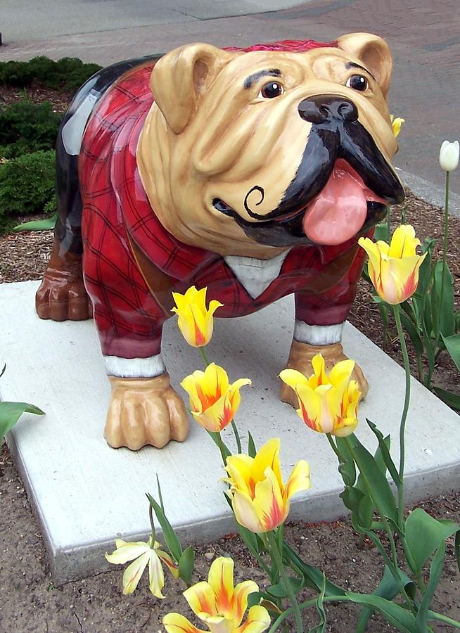 plastic bulldog statue