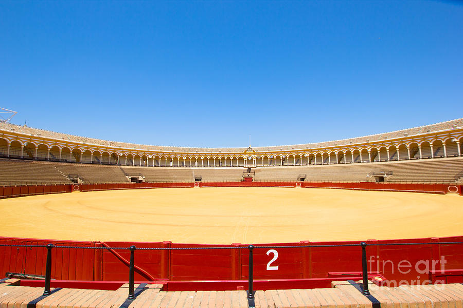 Bullfight Arena  in Seville Photograph by Anastasy Yarmolovich