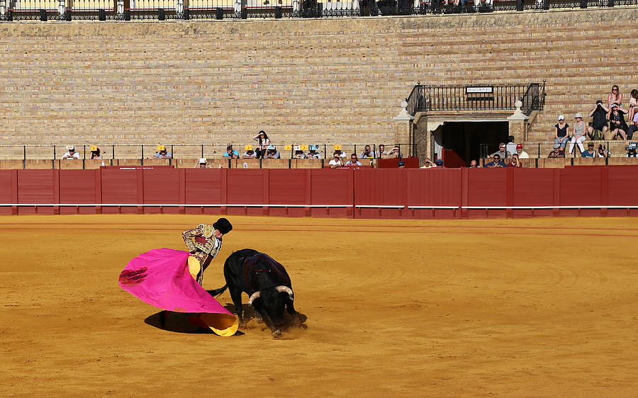Bullfighting 11 Photograph by Andrew Fare