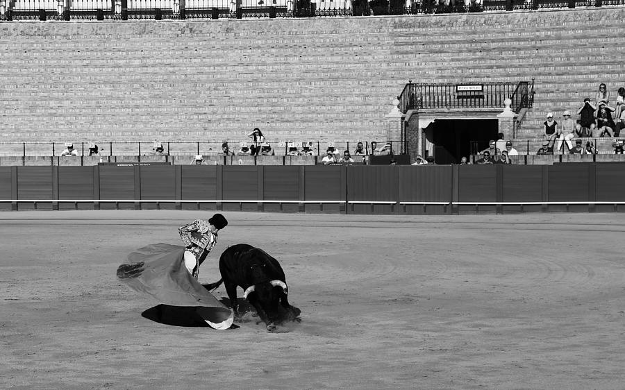 Bullfighting 11b Photograph by Andrew Fare