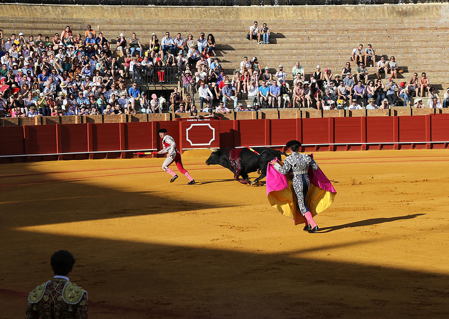 Bullfighting 12 Photograph by Andrew Fare