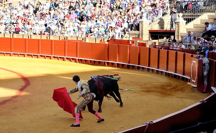 Bullfighting 14 Photograph by Andrew Fare