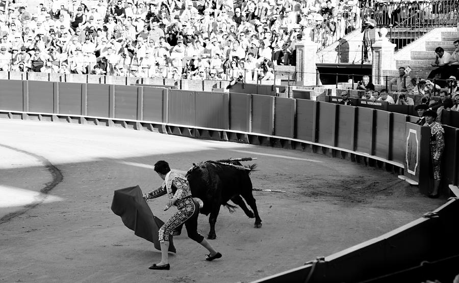 Bullfighting 14b Photograph by Andrew Fare
