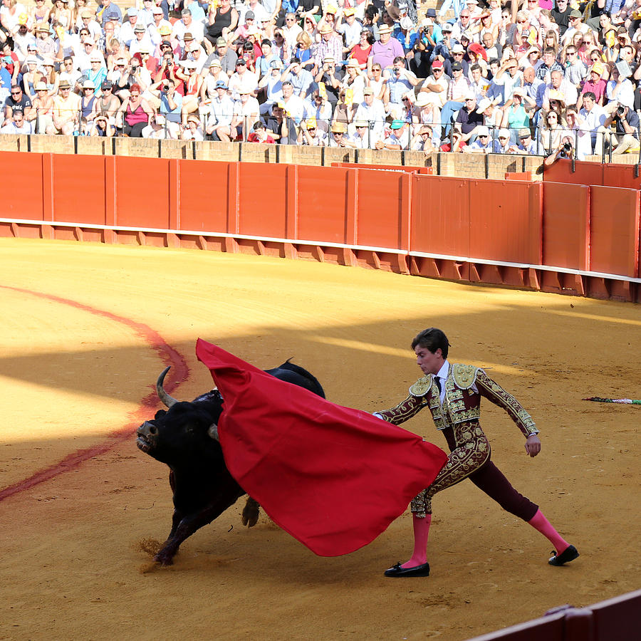 Bullfighting 15 Photograph by Andrew Fare