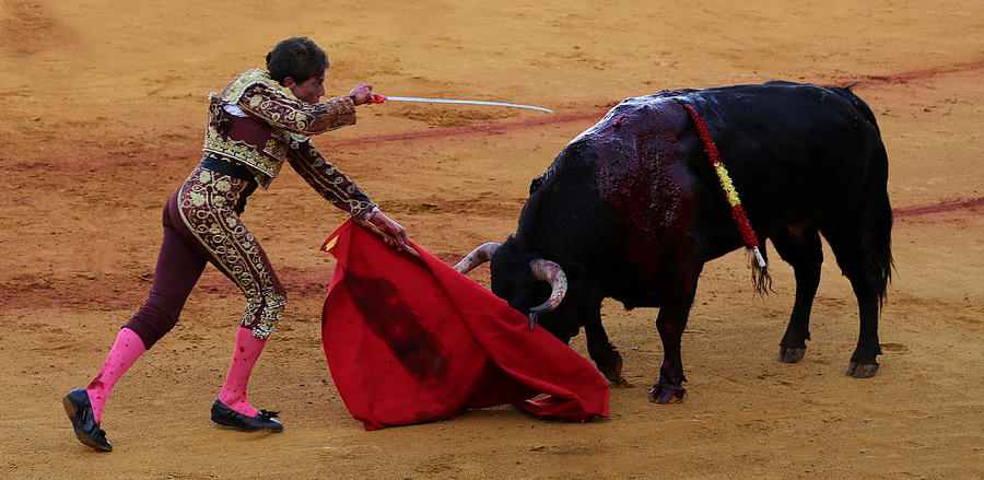 Bullfighting 16 Photograph by Andrew Fare
