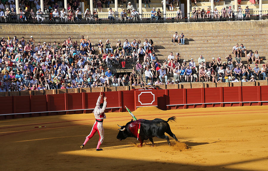 Bullfighting 17 Photograph by Andrew Fare