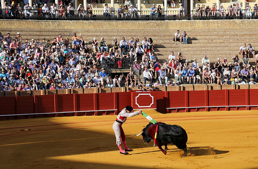 Bullfighting 18 Photograph by Andrew Fare