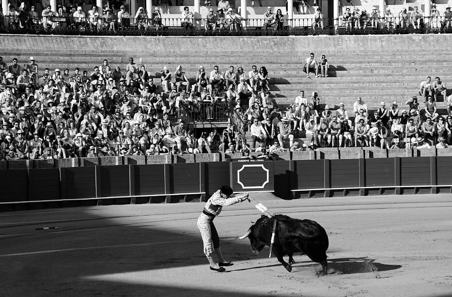 Bullfighting 18b Photograph by Andrew Fare