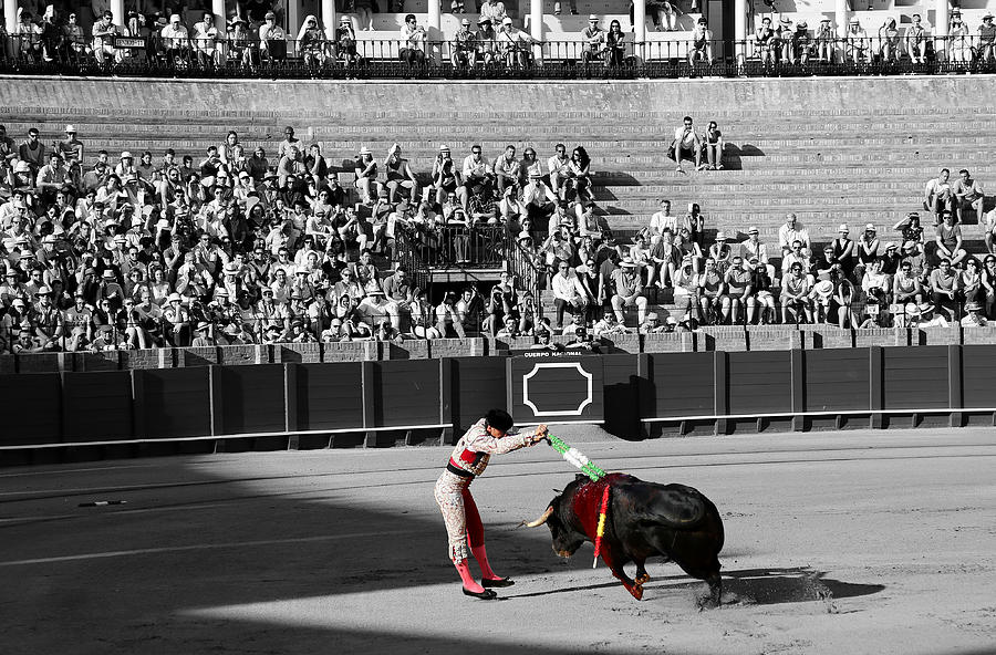 Bullfighting 18c Photograph by Andrew Fare