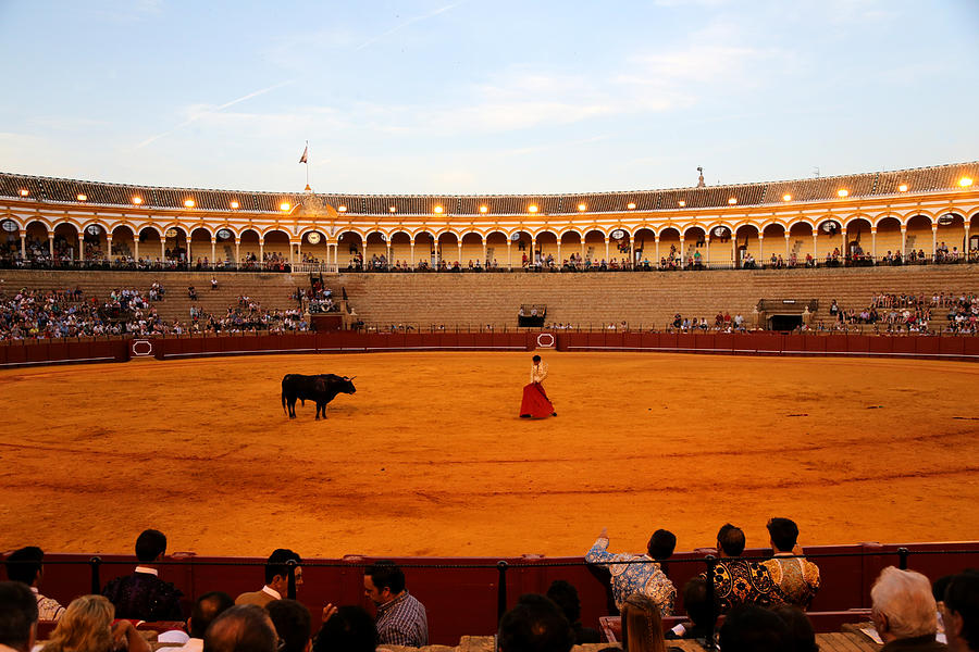 Bullfighting 19 Photograph by Andrew Fare