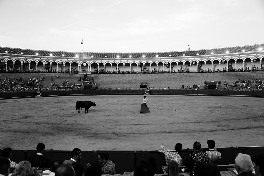Bullfighting 19b Photograph by Andrew Fare