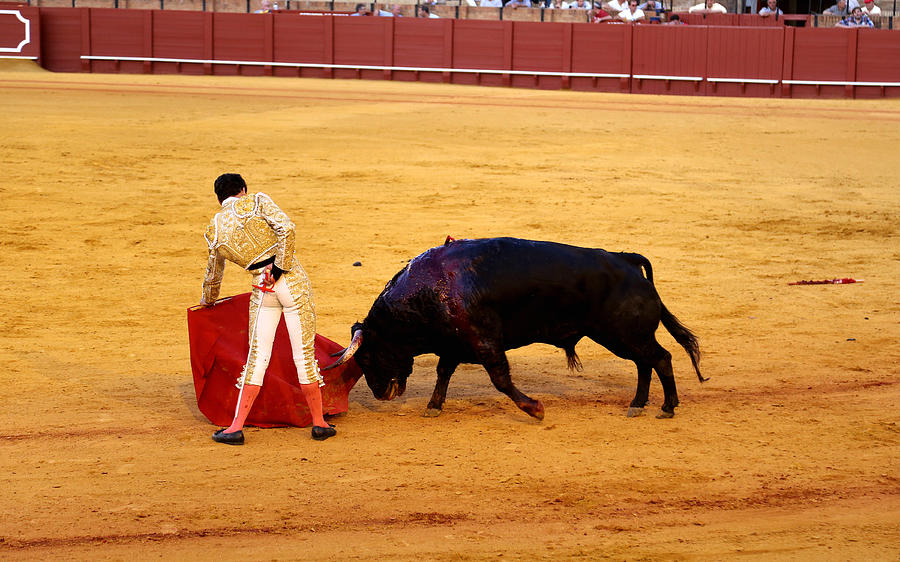 Bullfighting 20 Photograph by Andrew Fare