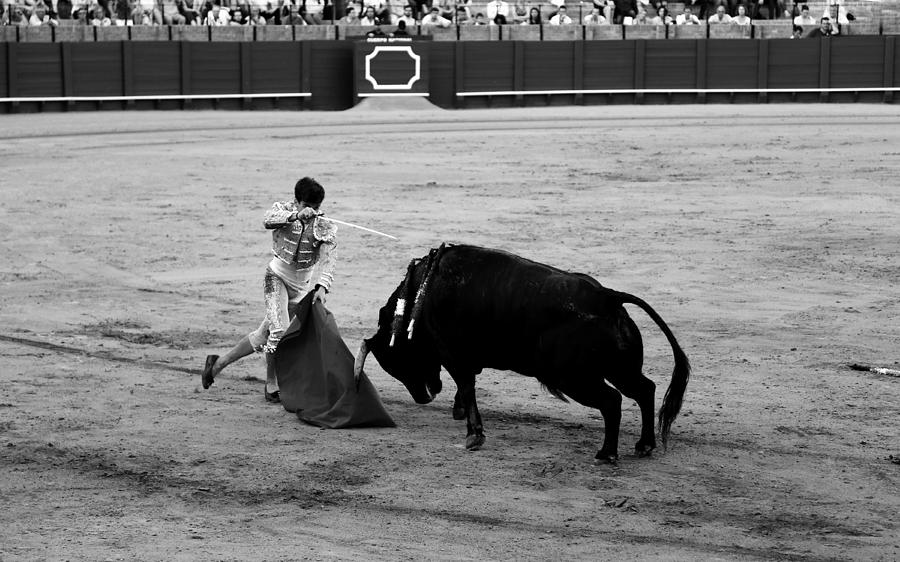 Bullfighting 21b Photograph by Andrew Fare