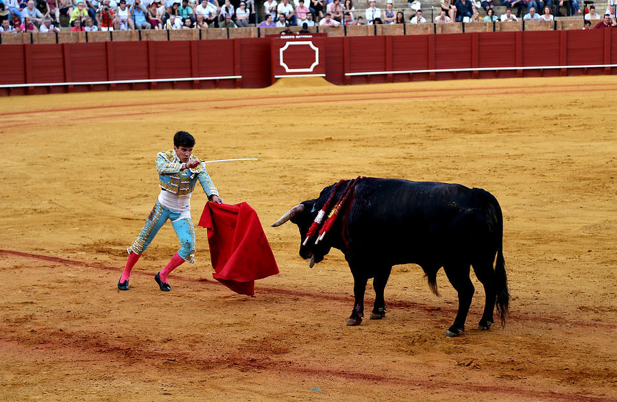 Bullfighting 22 Photograph by Andrew Fare