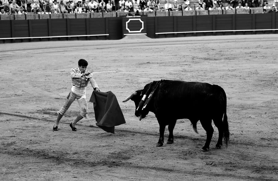 Bullfighting 22b Photograph by Andrew Fare