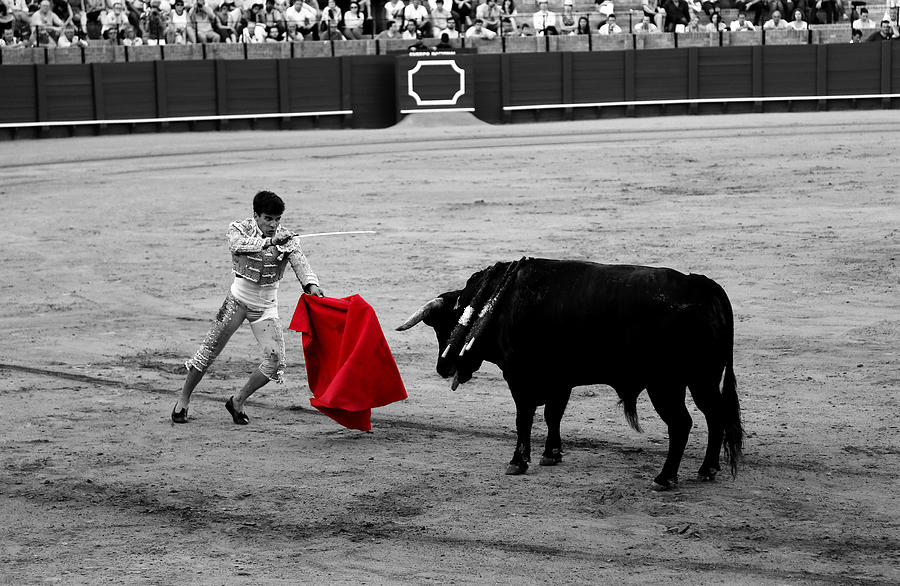 Bullfighting 22c Photograph by Andrew Fare