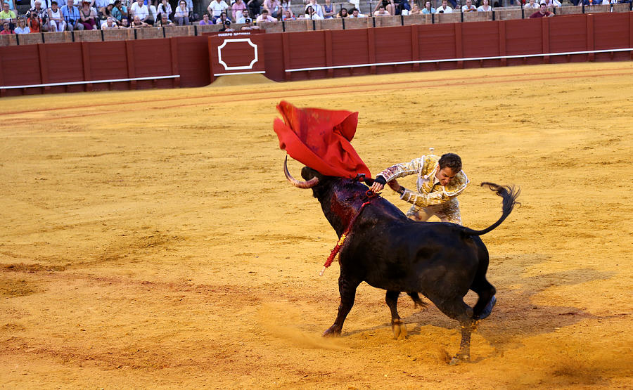 Bullfighting 23 Photograph by Andrew Fare