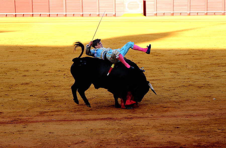 Bullfighting 24 Photograph by Andrew Fare