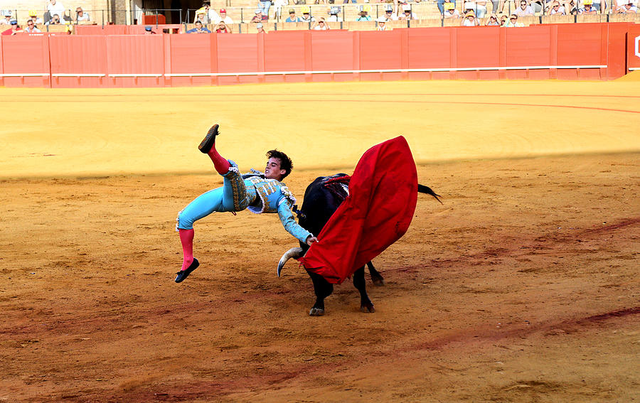 Bullfighting 25 Photograph by Andrew Fare