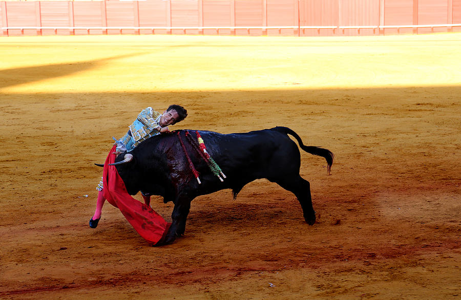 Bullfighting 26 Photograph by Andrew Fare