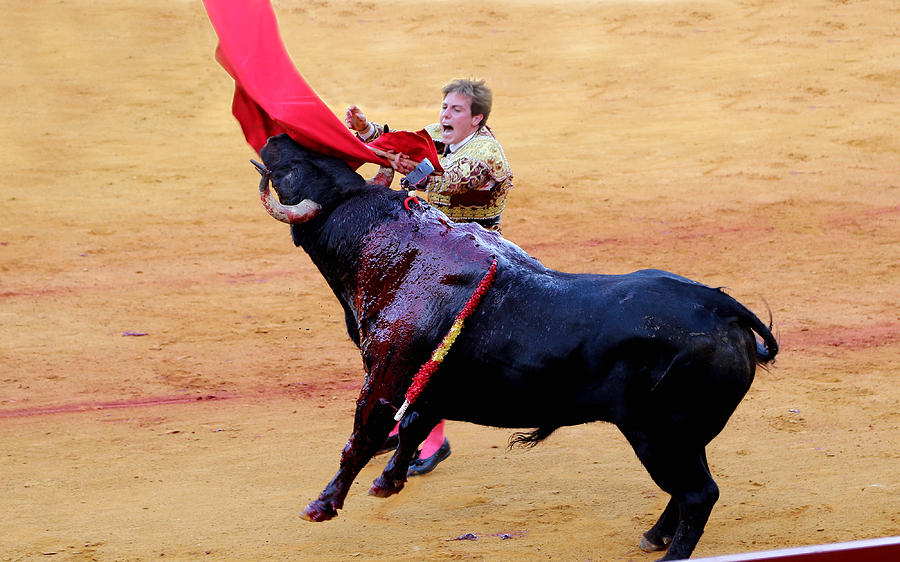 Bullfighting 28 Photograph by Andrew Fare
