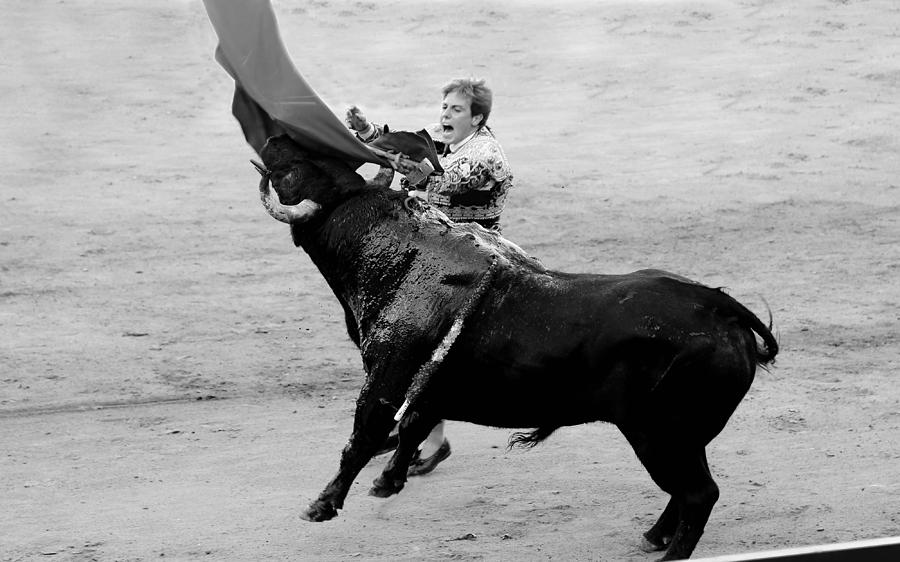 Bullfighting 28b Photograph by Andrew Fare