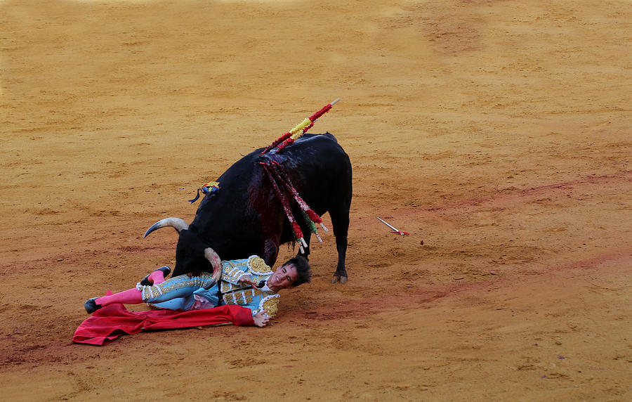 Bullfighting 29 Photograph by Andrew Fare
