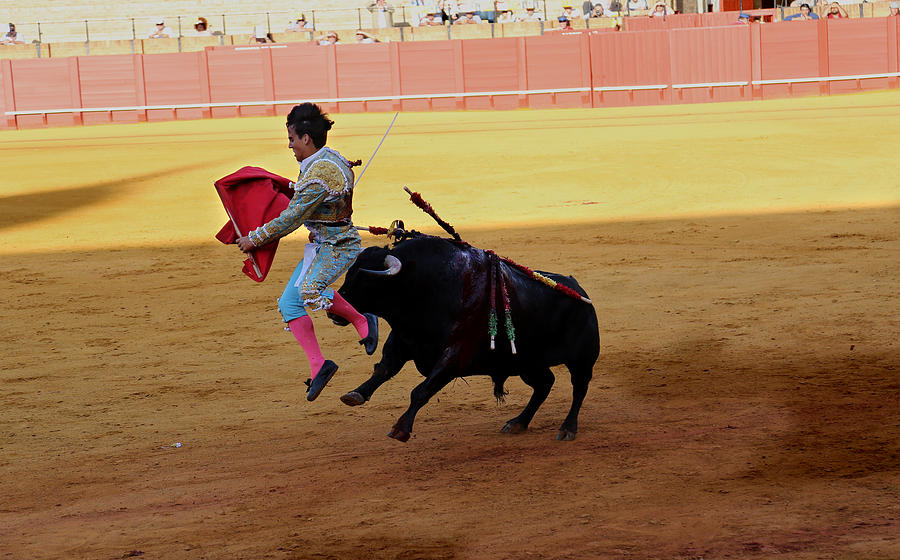 Bullfighting 31 Photograph by Andrew Fare