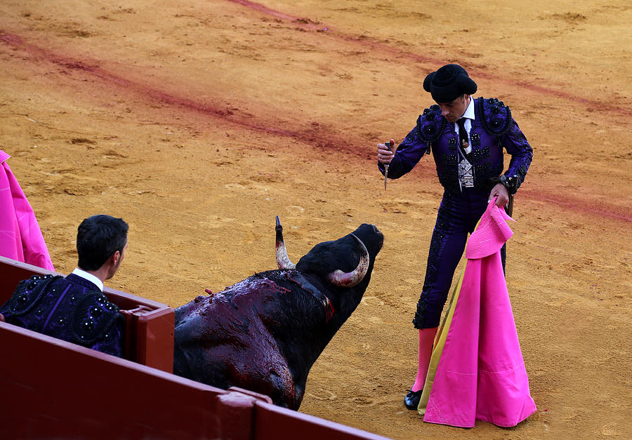 Bullfighting 32 Photograph by Andrew Fare